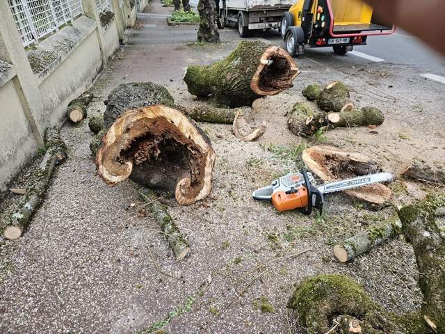 0da0fdad ffec 4602 b906 c7f4c3d61b19