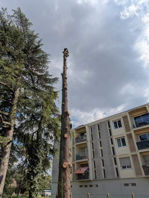 11e11c50 5668 4a84 afba 5fac8cdbf3e8