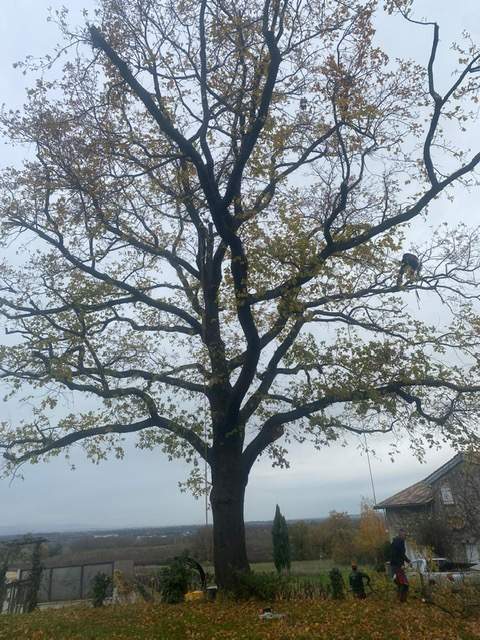 1b107ad3 7a59 45c1 b4f0 12eddf1e2b5b