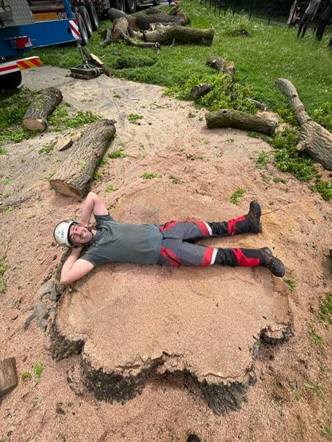 515a3de5 432b 40bb 8549 32fdb9c22b22