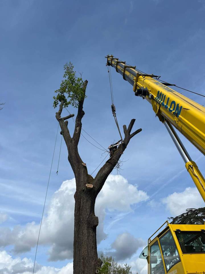 68d1b23e f681 47bc b0ec 3fd141776ce1