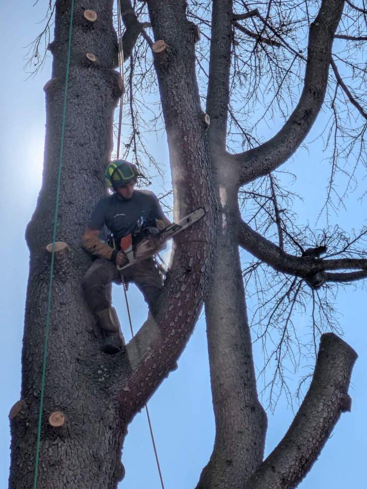 6c48dfc2 28f0 4995 acb9 133ebe5a0088