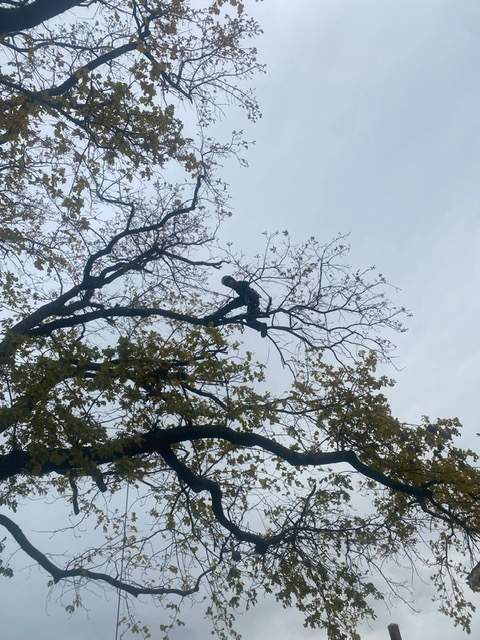 824ec2d5 d37d 4d22 98e9 8837bc46473d