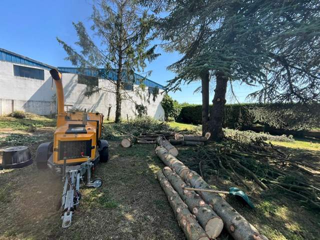 862368df 924b 411a 9997 633dad54f6e8