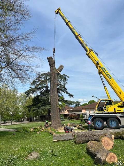 894cff51 4a19 4714 a3f9 ab6ec7d9dd55