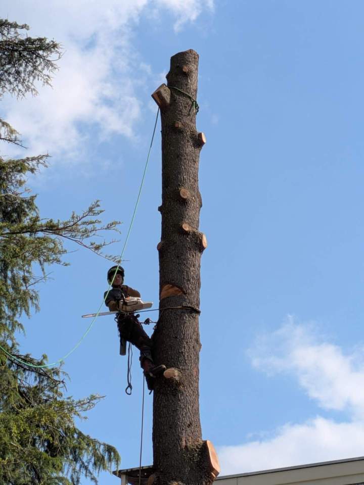 9229ef5d d8aa 4c0d 8fa5 4a0c8d855c01