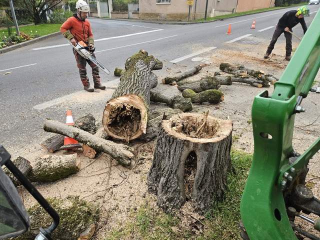 97254f13 00ff 4a47 8483 fe04012c7f38