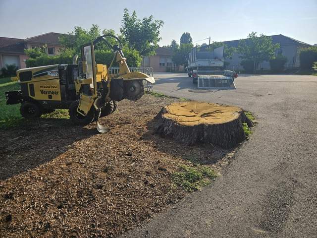 97f8c498 6fa6 4626 864d d69b437c6e2e