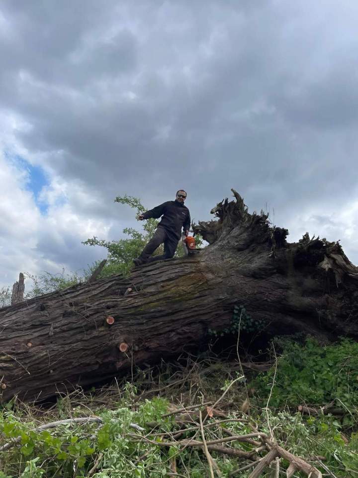 Travaux d'élagage Ville Franche-sur-Saône