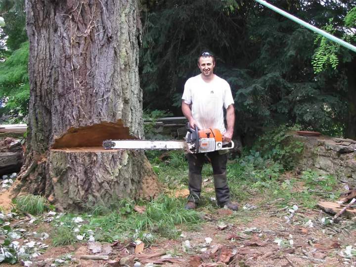 Travaux d'abattage Ville Franche-sur-Saône