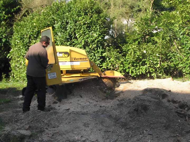 Service de desssouchage Ville Franche-sur-Saône