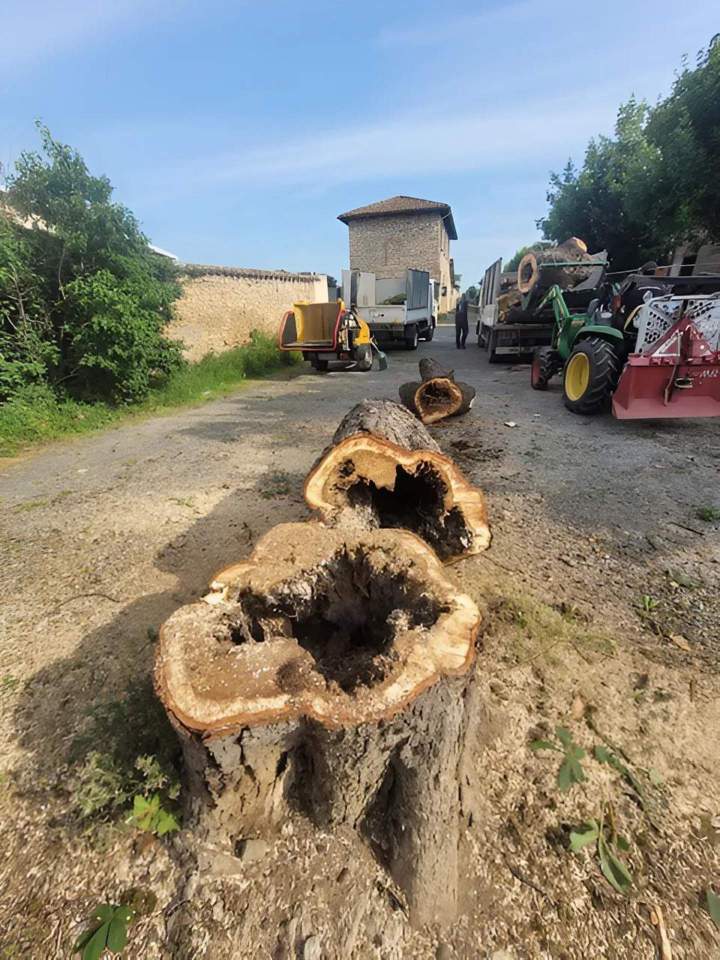 Travaux d'abattage Villefranche-sur-Saône