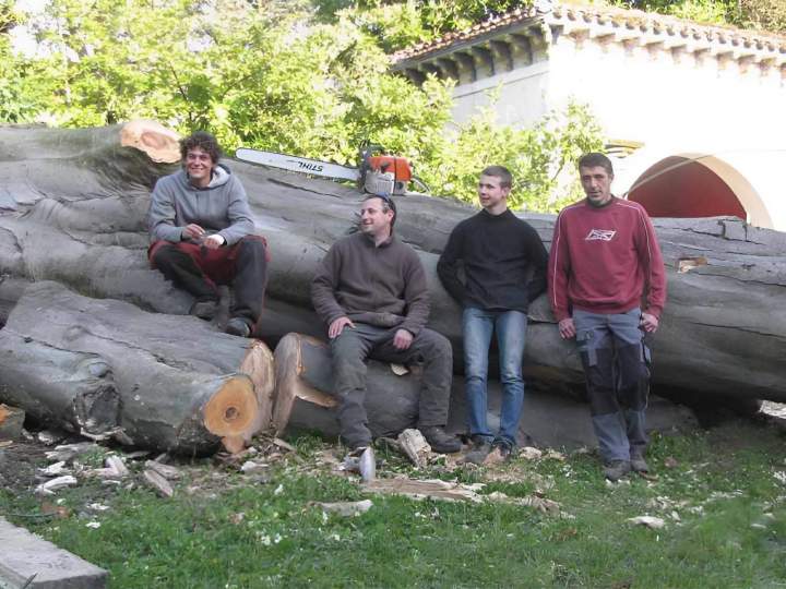 Spécialistes élagage Ville Franche-sur-Saône