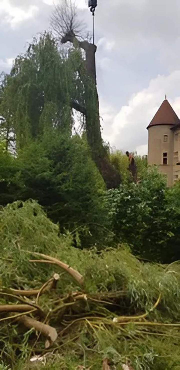 Service d'élagage Ville Franche-sur-Saône