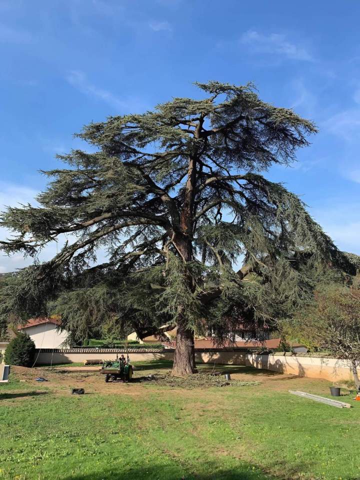 Travaux d'élagage Ville Franche-sur-Saône