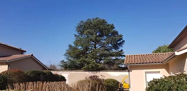 Travaux d'entretien de jardin Ville Franche-sur-Saône