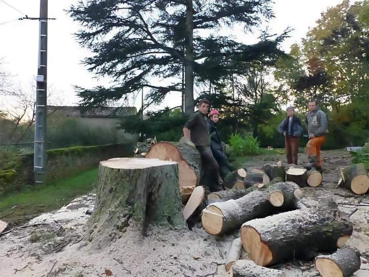 Services d'élagage Ville Franche-sur-Saône