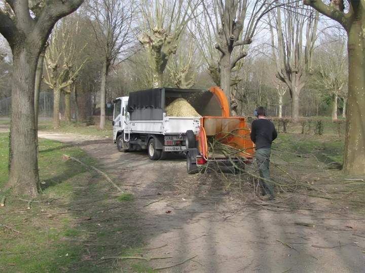 Travaux d'élagage Ville Franche-sur-Saône