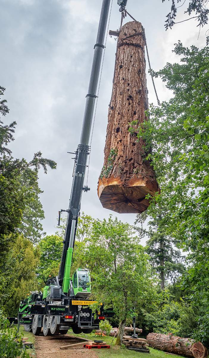 Travaux d'élagage en hauteur Ville Franche-sur-Saône