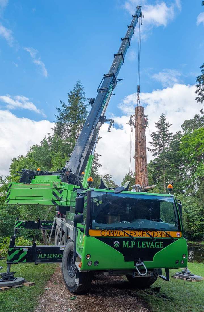 Travaux d'élagage en hauteur Ville Franche-sur-Saône