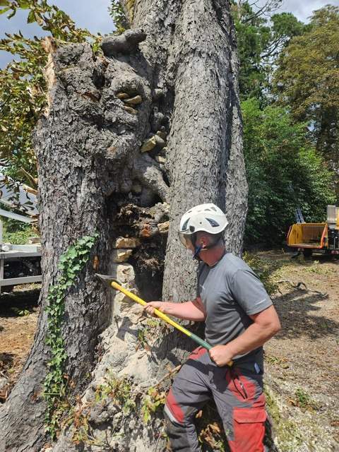 a82d6f90 efa8 4c42 b649 fac792ab78c8