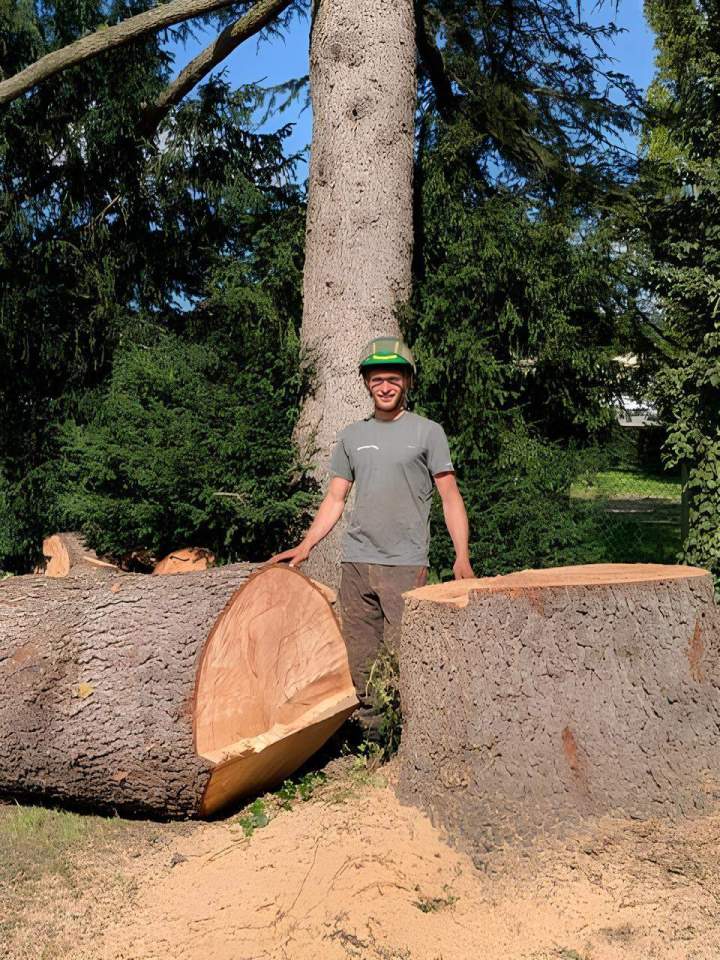 Coupe arbre Villefranche-sur-Saône