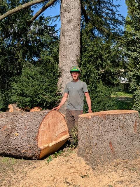 b49a2e76 2e09 453d 8f06 3600078cb282