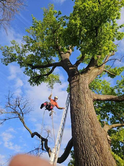 cbe08995 7b29 431d a7db 5ad4d91bb3b7