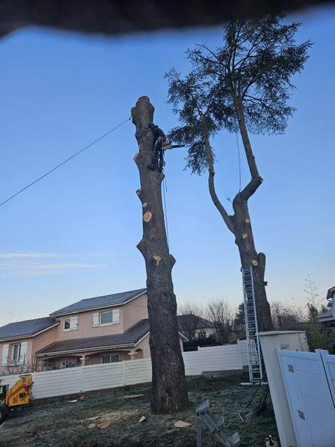 d8d0494e 9fd8 4644 95f6 0bb2bedfb7de