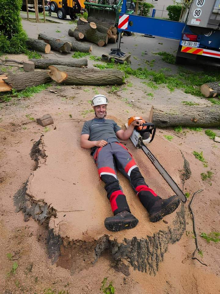 Abattage arbre Villefranche-sur-Saône