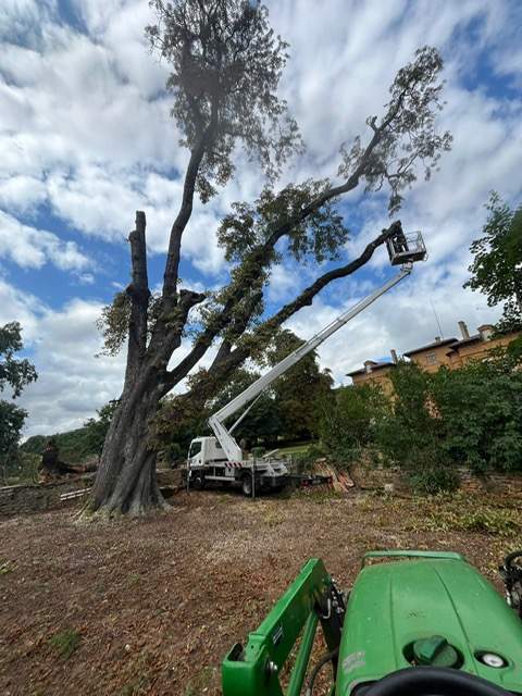 e5f572cb 7518 495d 9299 eae5f95e5383