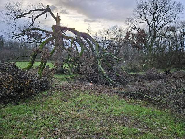 ec627997 af4b 4679 9e8d 1a7740c8f0bc