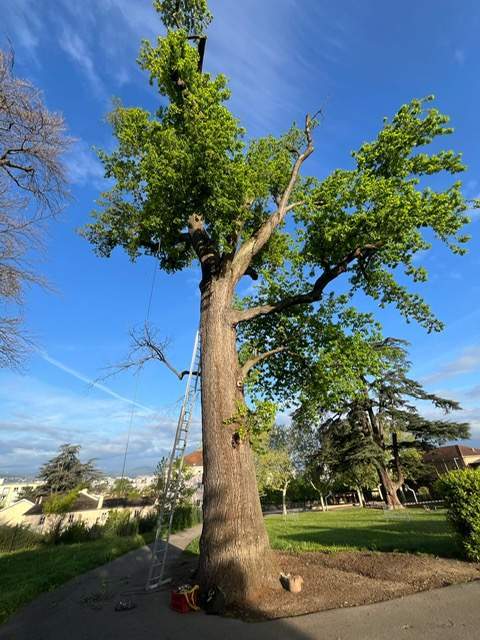 f5be48b8 91a5 4fc0 9951 9d1d3f673490