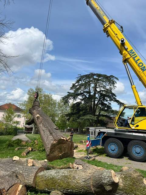 f6586ae7 7ce9 446b bc84 8f94ca1f1c7b