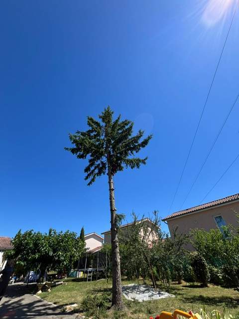 fe38476c 5bdb 4273 ae3c fd3fd7e8605b